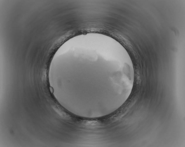 X0000113050401200910081236