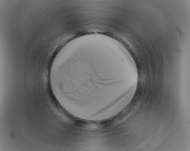 X0000113050402200910081236
