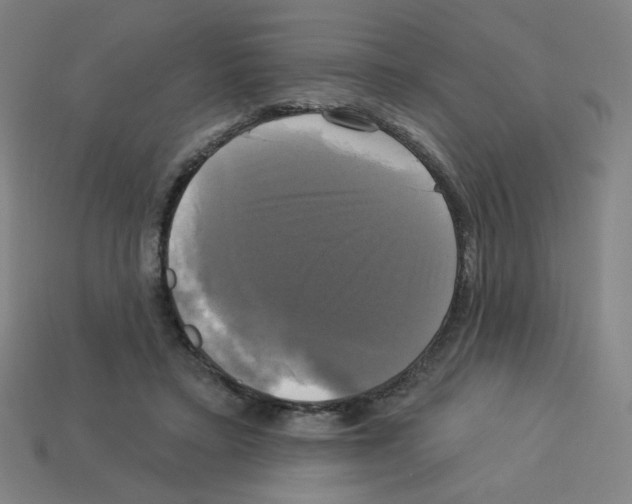 X0000113050403200910081236