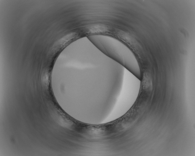 X0000113050405200910081236