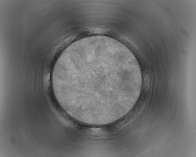 X0000113050406200910081236