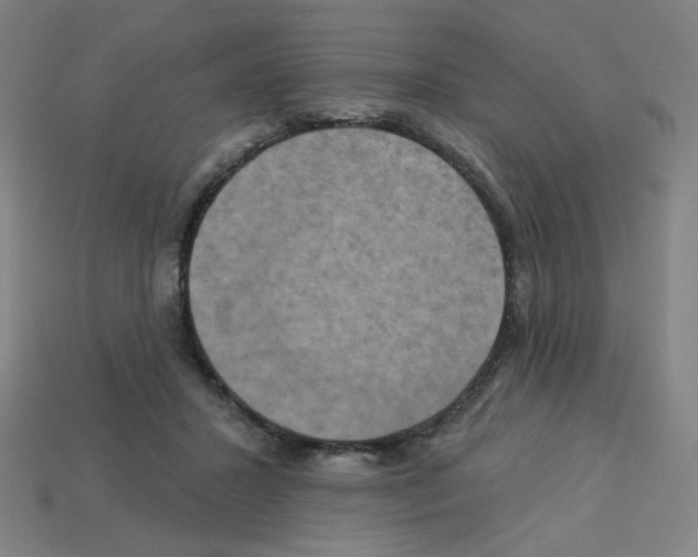 X0000113050407200910081236