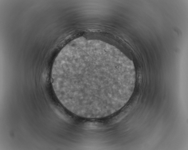 X0000113050408200910081236