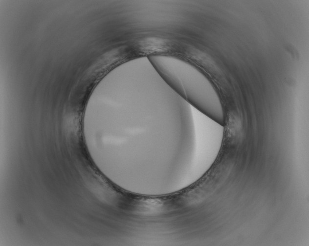 X0000113050409200910081236