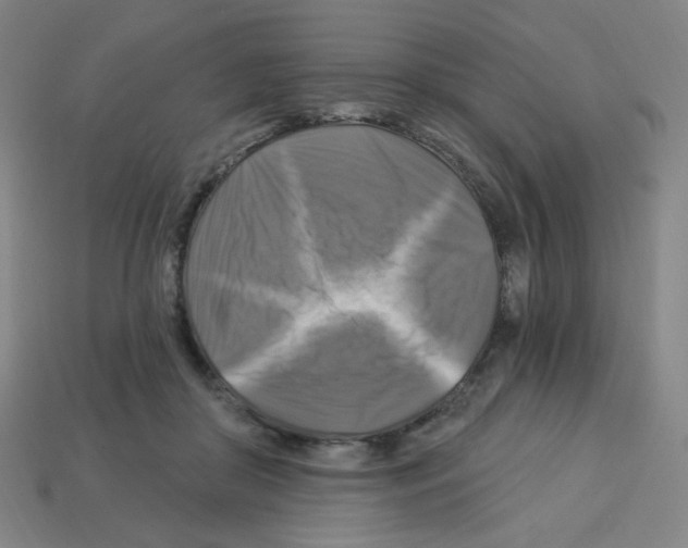 X0000113050410200910081236