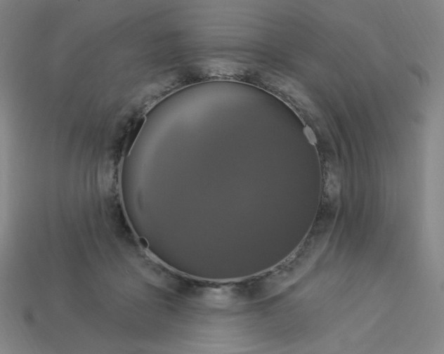X0000113050411200910081236