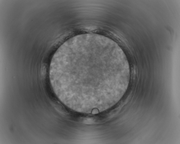 X0000113050412200910081236