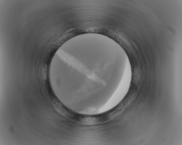 X0000113050413200910081235