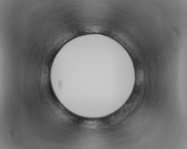 X0000113050414200910081235