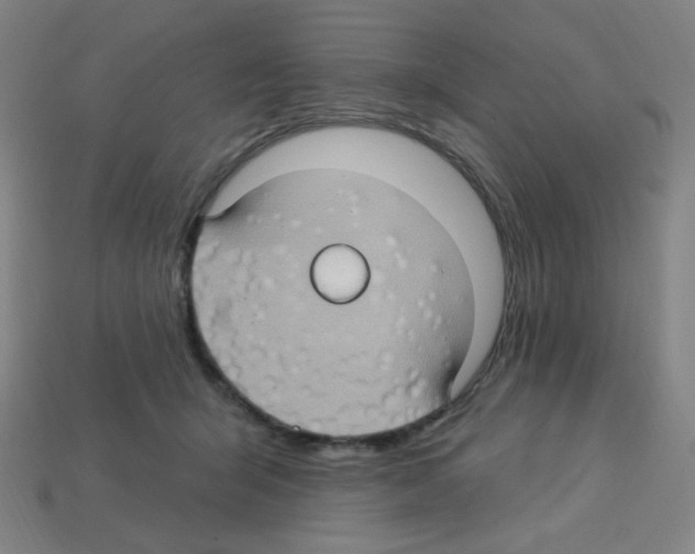 X0000113050415200910081235