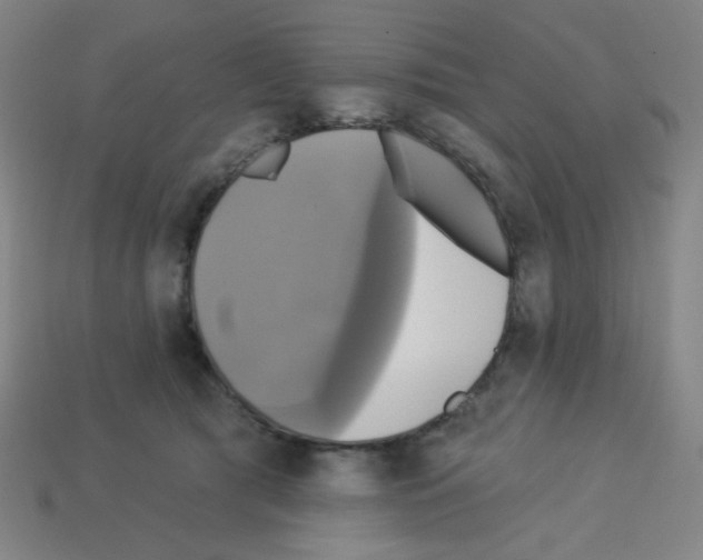 X0000113050417200910081235