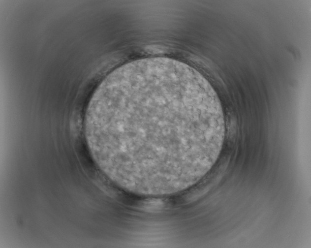 X0000113050418200910081235
