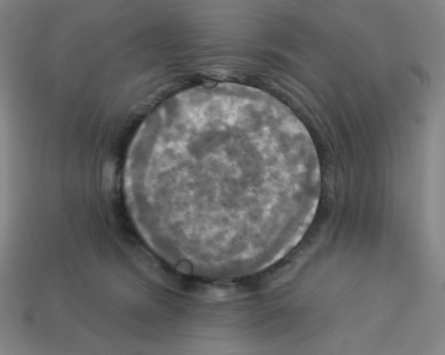 X0000113050420200910081235