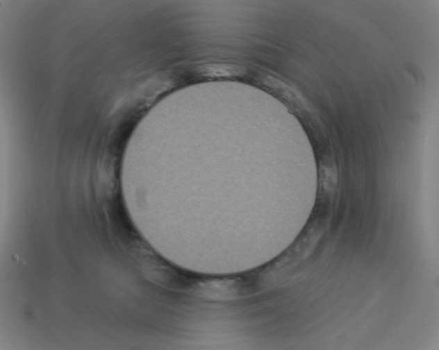 X0000113050422200910081235