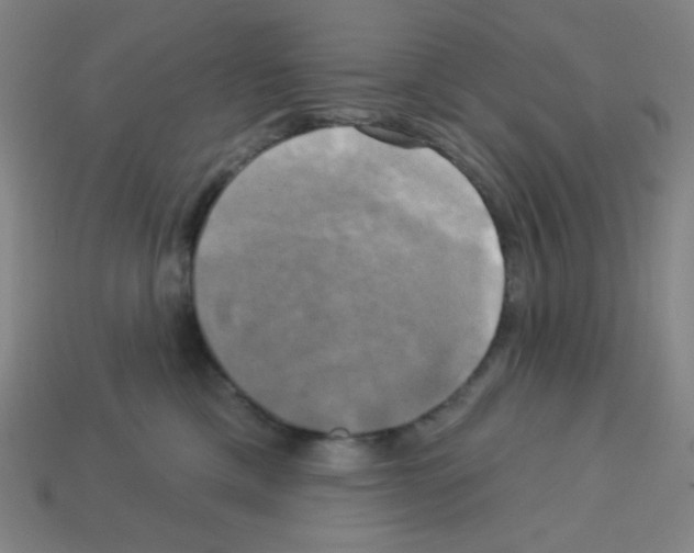 X0000113050425200910081235