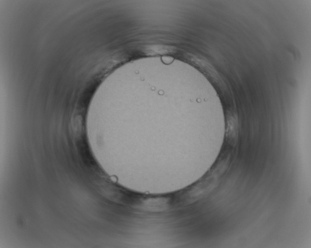 X0000113050426200910081235
