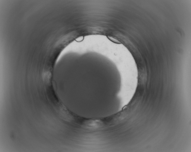 X0000113050427200910081235