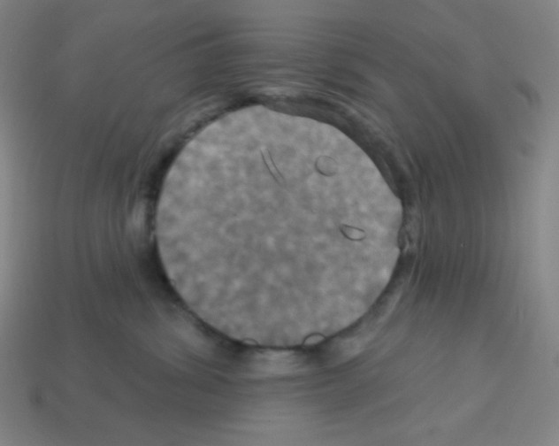 X0000113050428200910081235