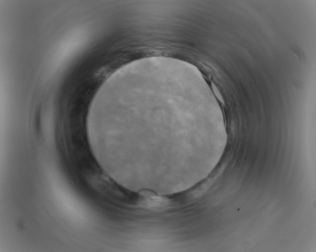 X0000113050429200910081235
