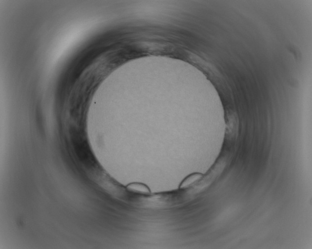 X0000113050430200910081235