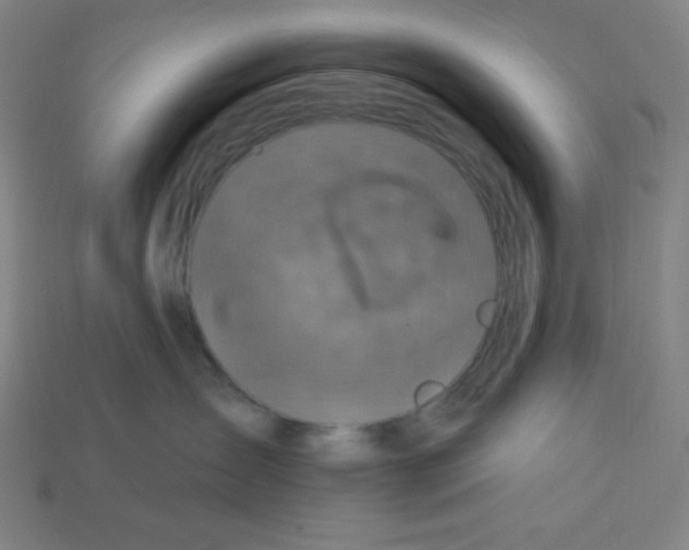 X0000113050431200910081235