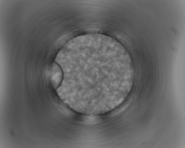 X0000113050432200910081235