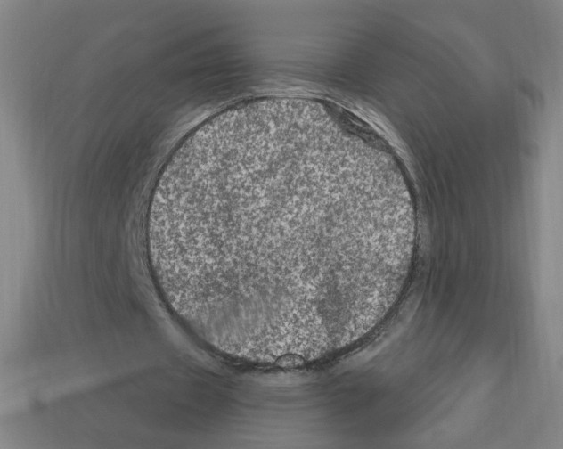 X0000113050433200910081234