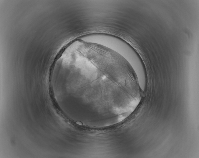 X0000113050434200910081234