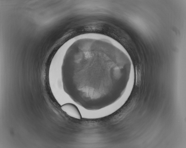 X0000113050435200910081234