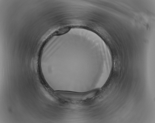 X0000113050436200910081234