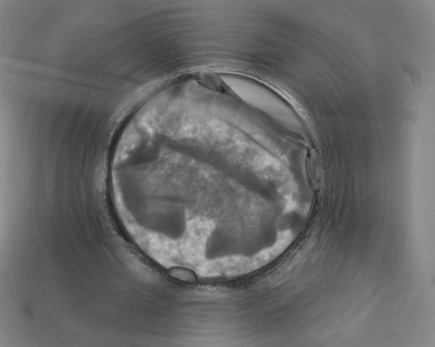 X0000113050437200910081235