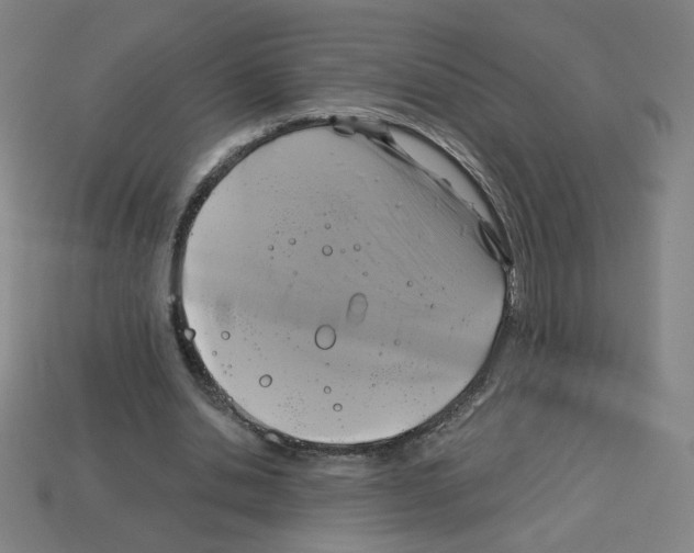 X0000113050438200910081235