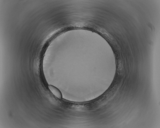 X0000113050440200910081235