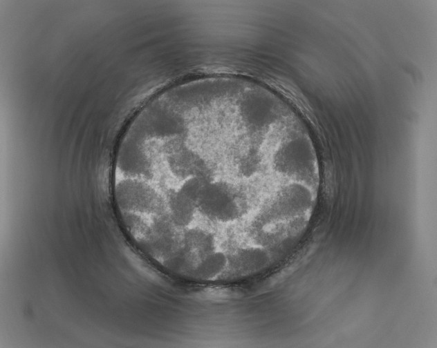 X0000113050441200910081235