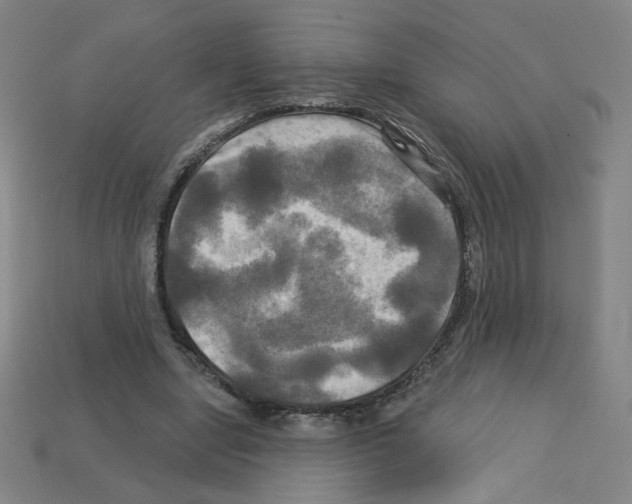 X0000113050442200910081235