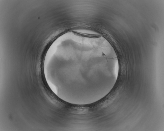 X0000113050443200910081235
