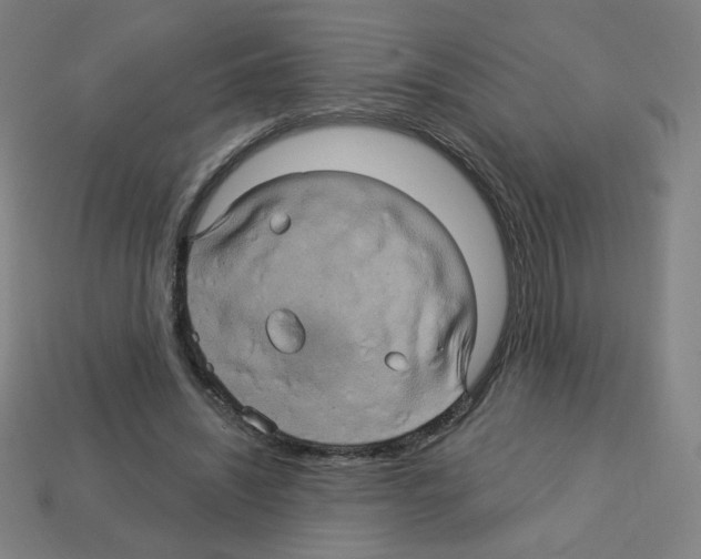 X0000113050444200910081235