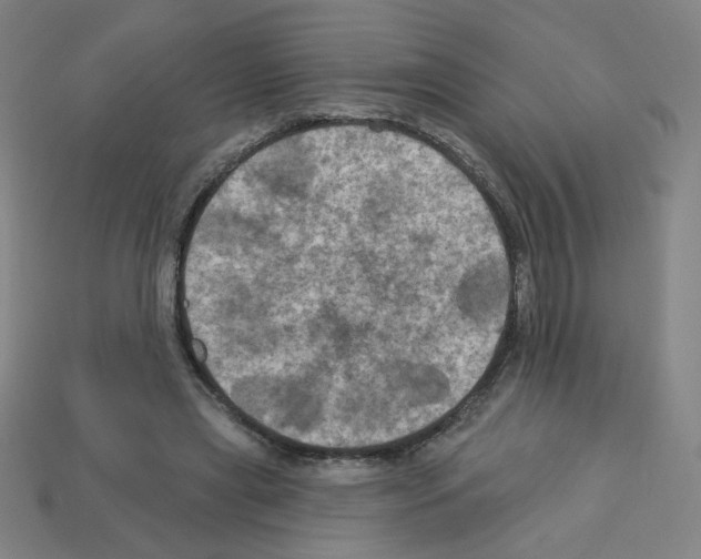 X0000113050445200910081235