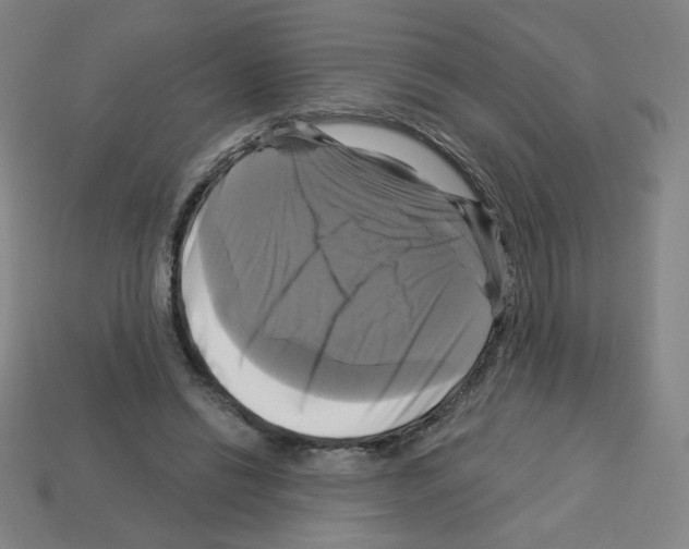 X0000113050446200910081235