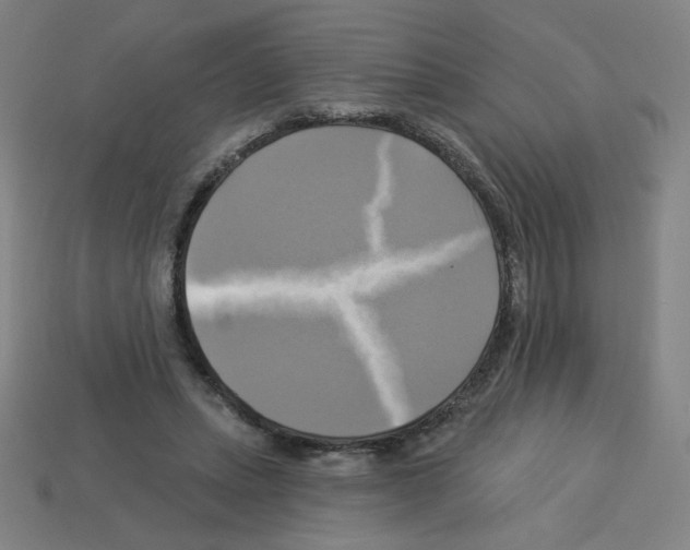 X0000113050447200910081235
