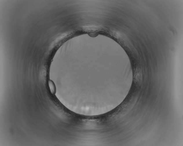 X0000113050448200910081235