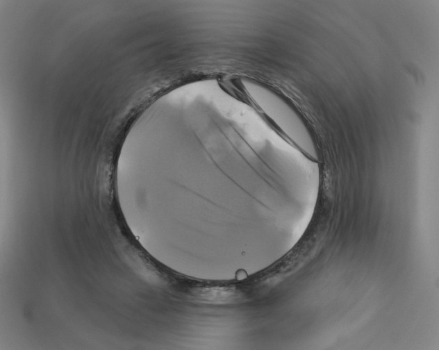X0000113050449200910081235