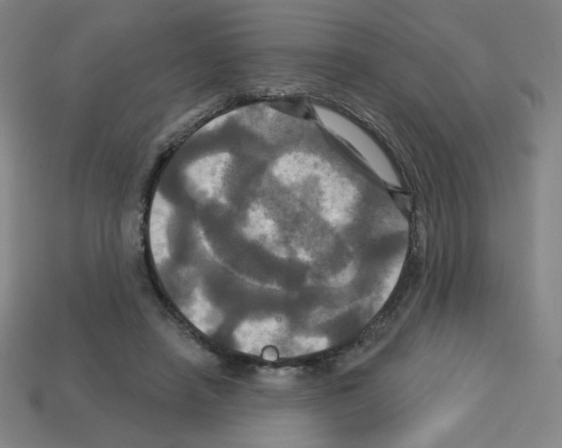 X0000113050450200910081235