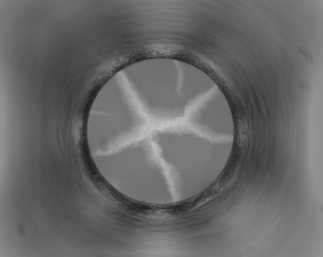 X0000113050451200910081235