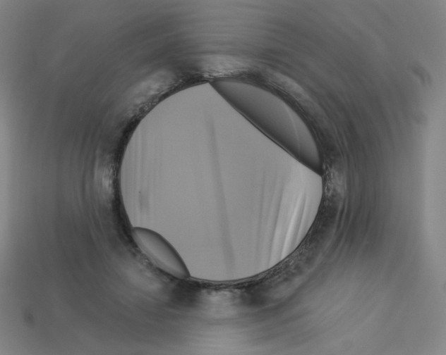 X0000113050452200910081235