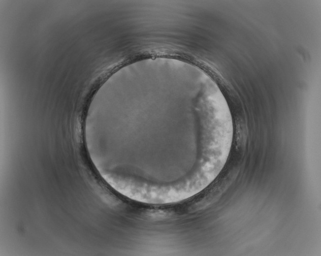 X0000113050453200910081235