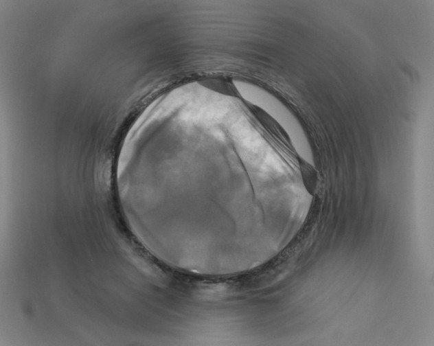 X0000113050454200910081235