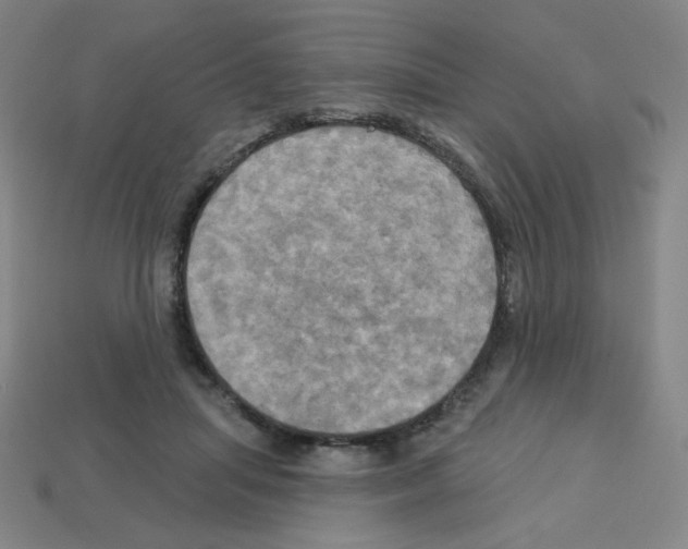 X0000113050455200910081235