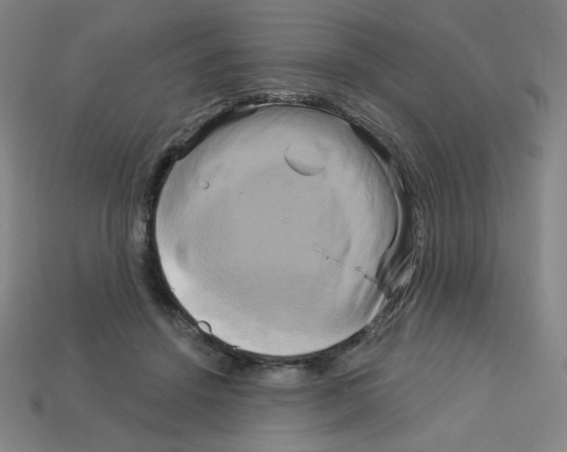 X0000113050456200910081235