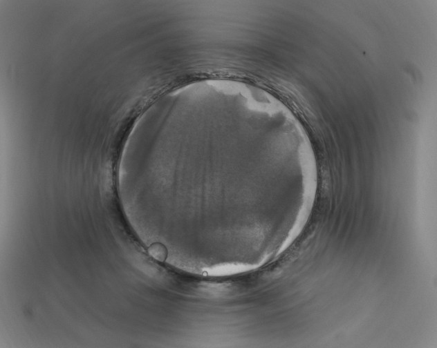 X0000113050457200910081235